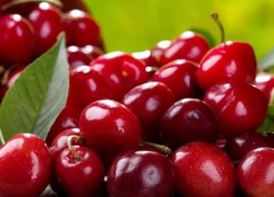 به جای استامینوفن آلبالو بخورید!