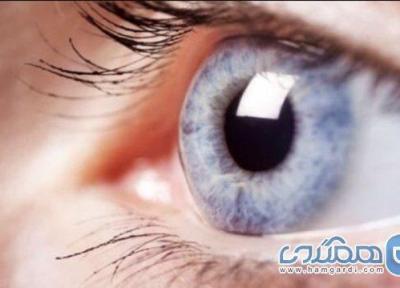 موثرترین راهها برای افزایش قدرت بینایی
